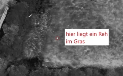Rehkitzrettung mit der Drohne