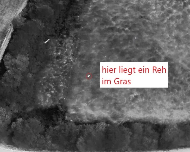 Rehkitzrettung mit der Drohne