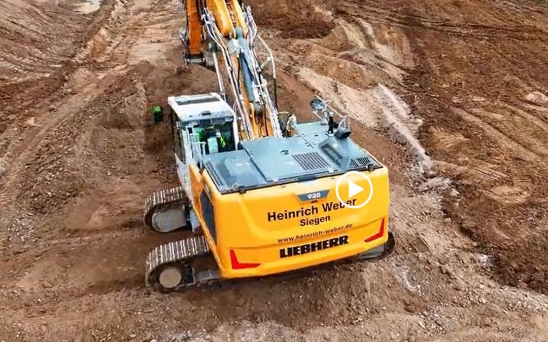 Image Video Heinrich Weber